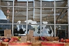 IMG_1884
